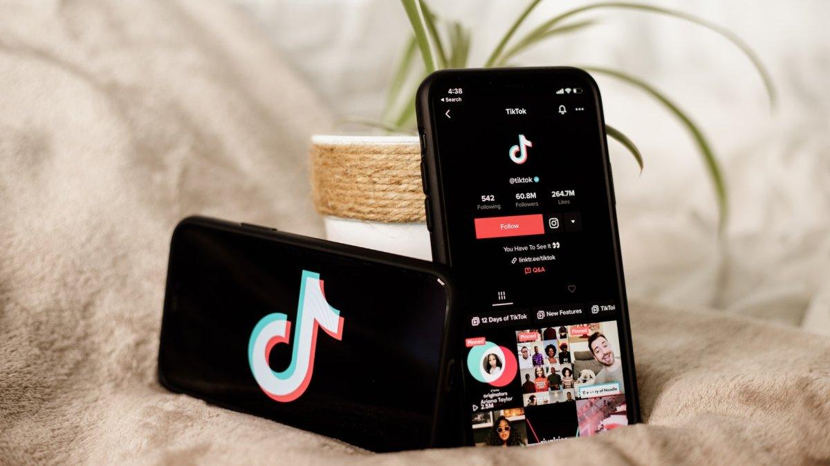 Viral Pria Nekat Jadi Maling Buat Nyawer Cewek di Live TikTok