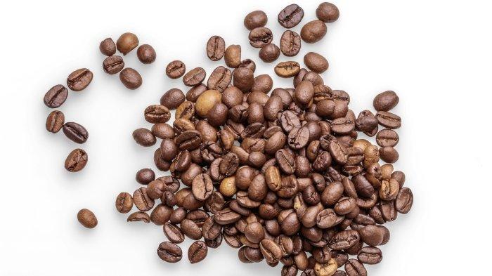 Bawa Pulang Oleh-oleh Kopi Arabika Beraroma Vulkanik saat Liburan ke Deles Indah Klaten, Jateng