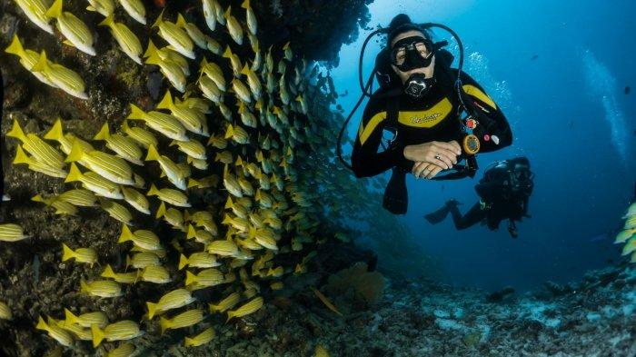 Surga Tersembunyi di Bawah Laut Desa Kapitu, Amurang Barat, Minahasa Selatan, Sulawesi Utara