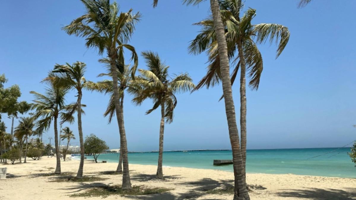 Ilustrasi pantai dengan deretan pohon kelapa di pesisirnya.