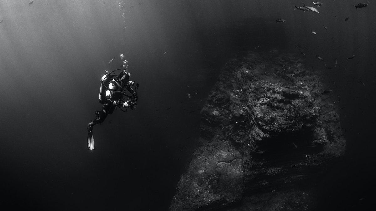 Fakta Unik Doggerland, Daratan yang Hilang di Laut Utara