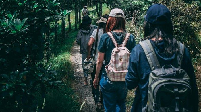 Ilustrasi rombongan pendaki saat mendaki gunung bersama.