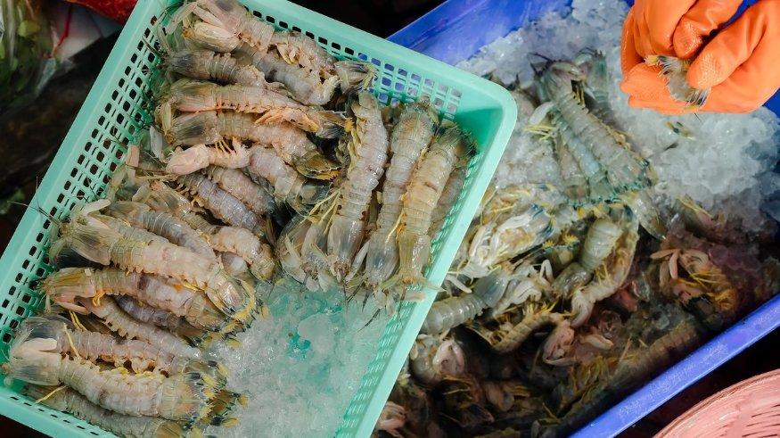 5 Kuliner Malam di Labuan Bajo, Kunjungi Kampung Ujung Buat Nikmati Beragam Seafood