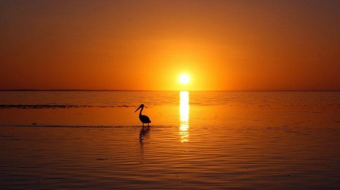 Ilustrasi sunset,