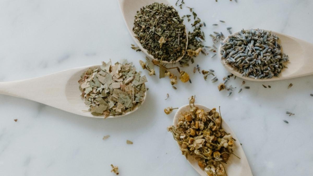 Ilustrasi tanaman herbal yang dijadikan untuk obat herbal.