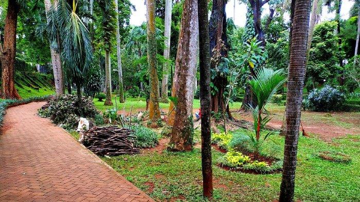 Ilustrasi tempat wisata di Jakarta Selatan, Taman Langsat