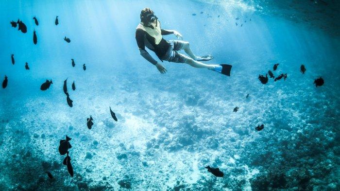 Harga Tiket Wahana Wisata Kampung Nelayan Sarang Tiung, Kotabaru, Kalsel & Sewa Kapal Sea Tour