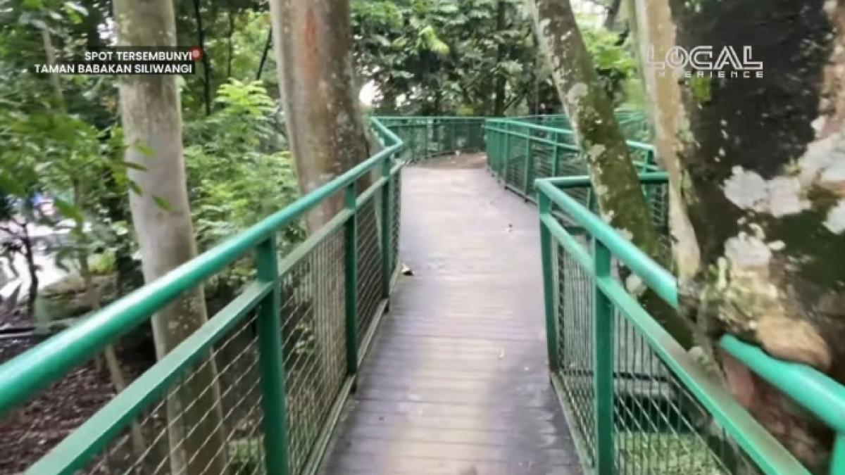 Jalur forest walk di Hutan Kota Babakan Siliwangi Kota Bandung, Jawa Barat.