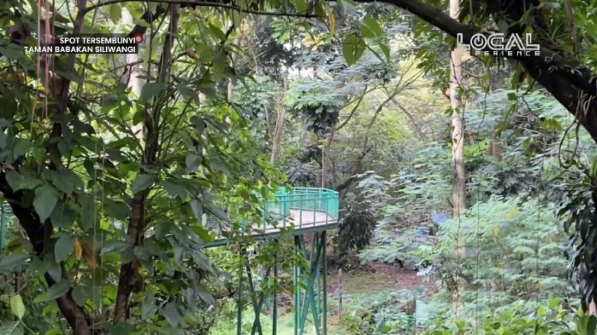 Jalur forest walk di Hutan Kota Babakan Siliwangi Kota Bandung, Jawa Barat.