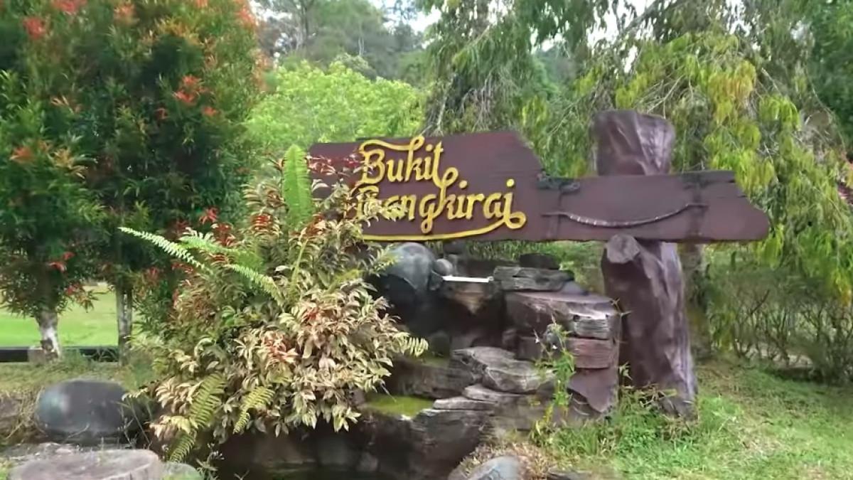 Jelajahi keindahan hutan konservasi Bukit Bangkirai Kutai Kartanegara bersama keluarga.