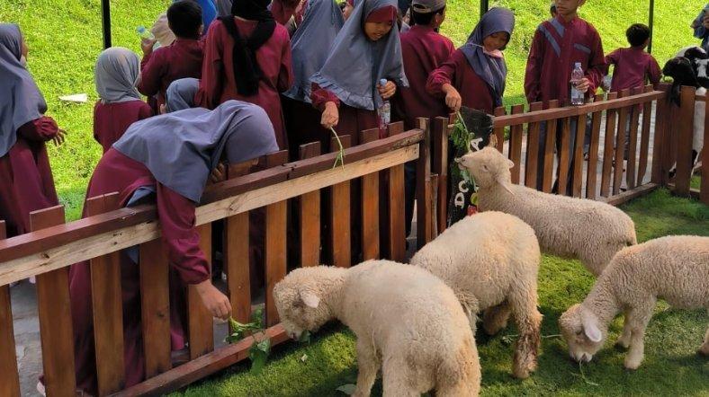 Jogja Exotarium Mini Zoo, tempat wisata kids friendly di Jogja.