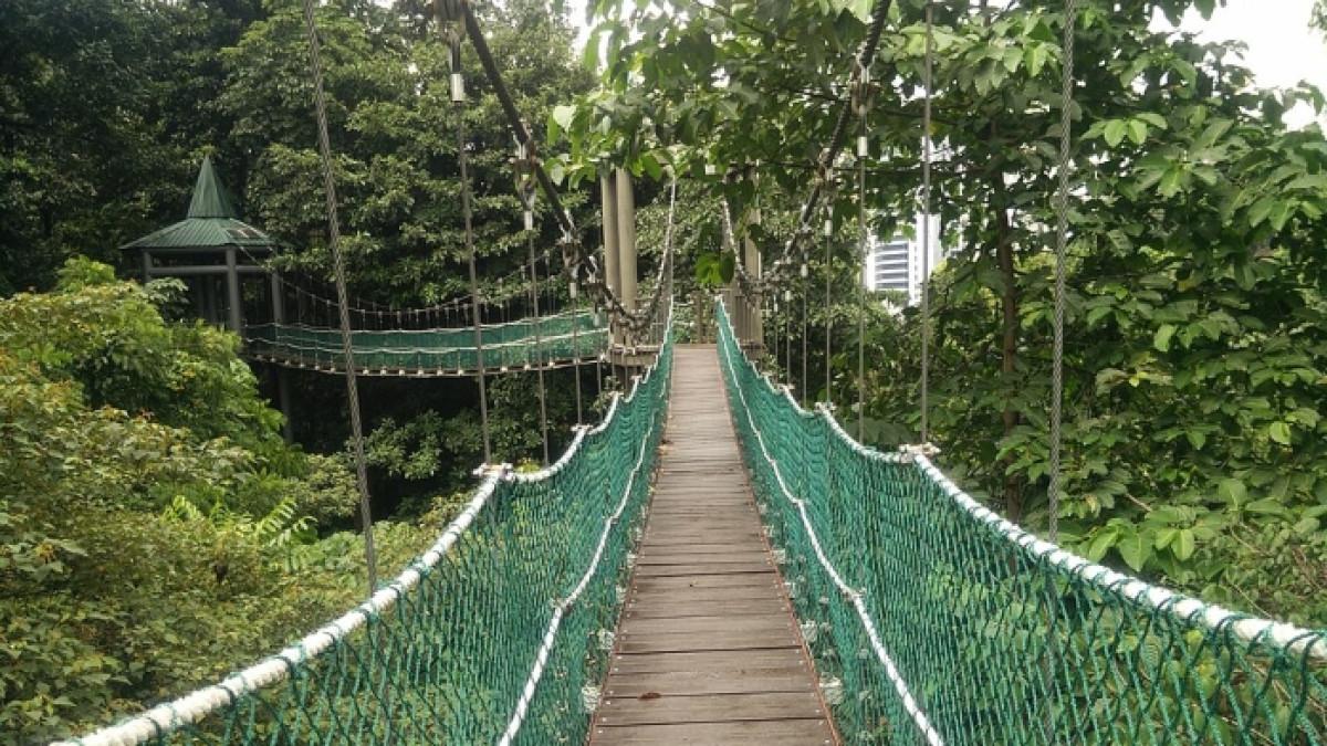 KL Forest Eco Park, tempat wisata di Kuala Lumpur, Malaysia yang bisa dikunjungi gratis.