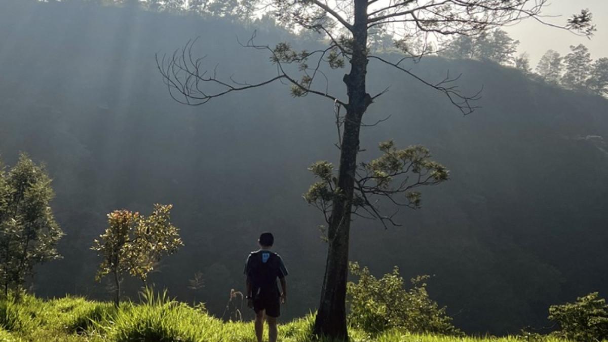 WISATA KLATEN - Pemandangan menawan di jalur trekking Kalitalang, Klaten, Jawa Tengah, Sabtu (26/9/2025). Traveler yang ingin trekking ke Kalitalang, cek itinerary berikut.