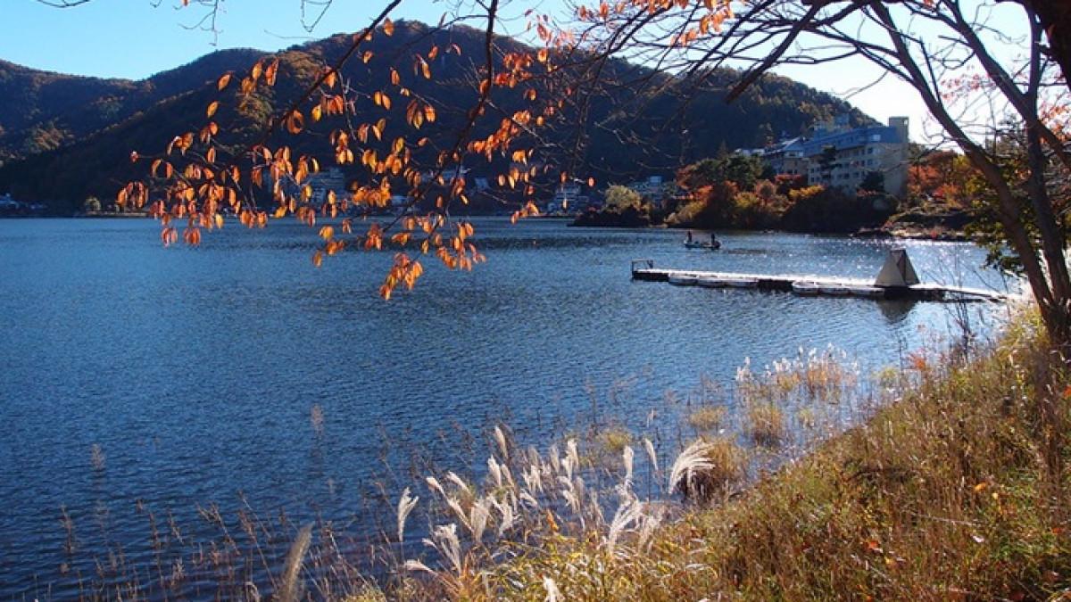 WISATA JEPANG - Indhanya Kawaguchiko Lake di Jepang yang menjadi salah satu tempat wisata paling populer, Minggu (5/10/2025).