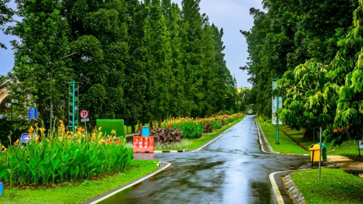 Kebun Raya Bogor, tempat wisata instagramable di Kota Bogor, Jawa Barat.