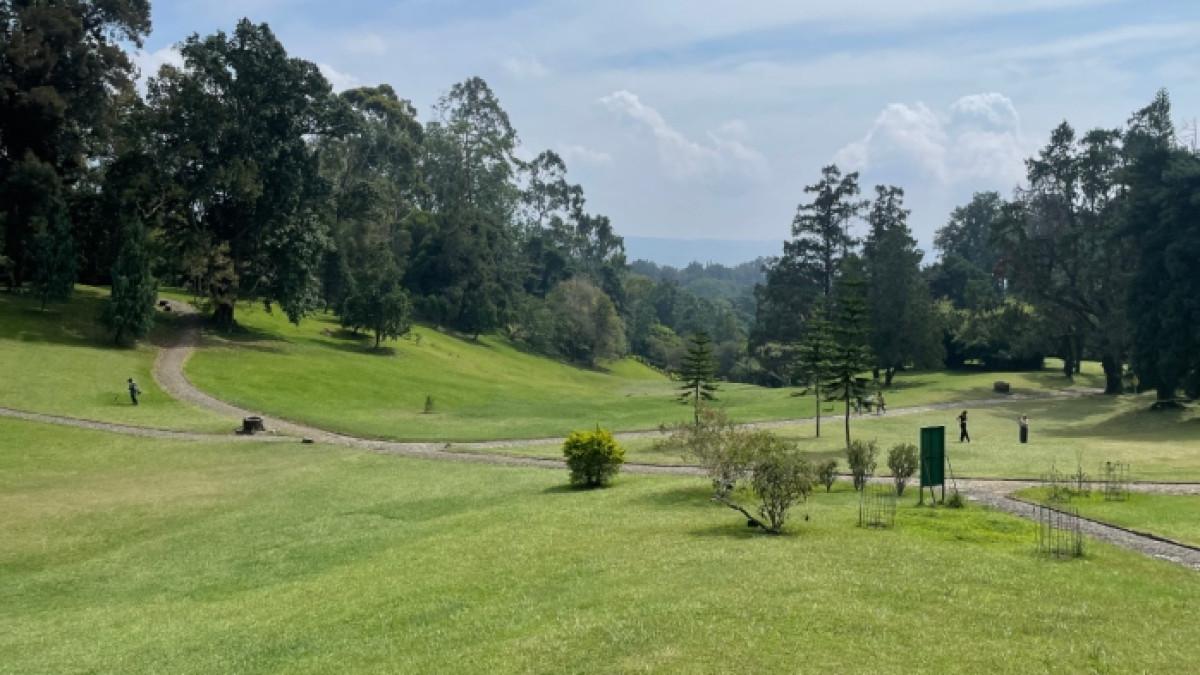 5 Destinasi Murah Meriah di Bogor, Jawa Barat: Tiket Masuk Mulai Rp 15 Ribu