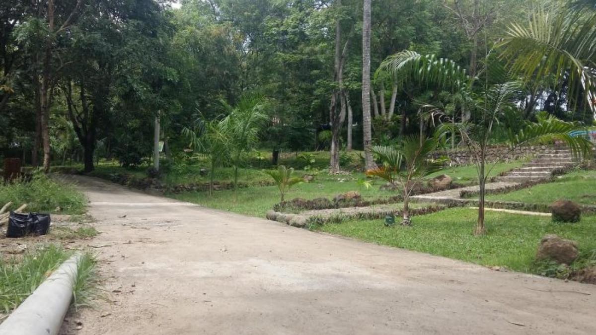 Kebun Raya Jompie, satu tempat wisata hits di Parepare, Sulawesi Selatan