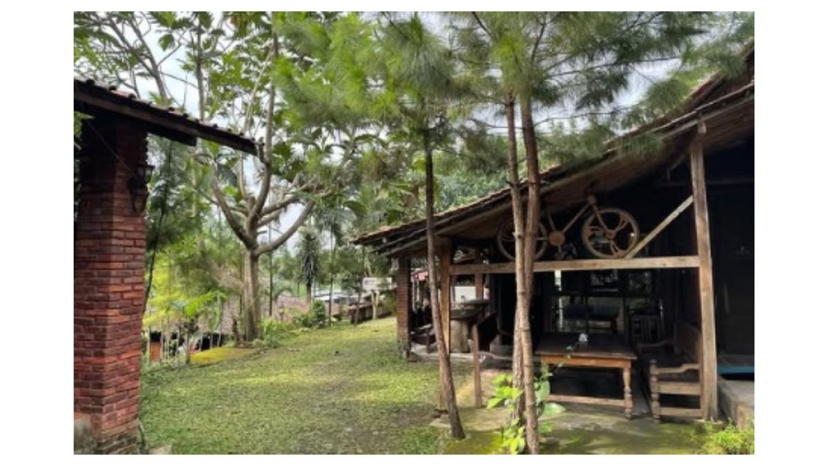 Kopi Klotok Cangkringan