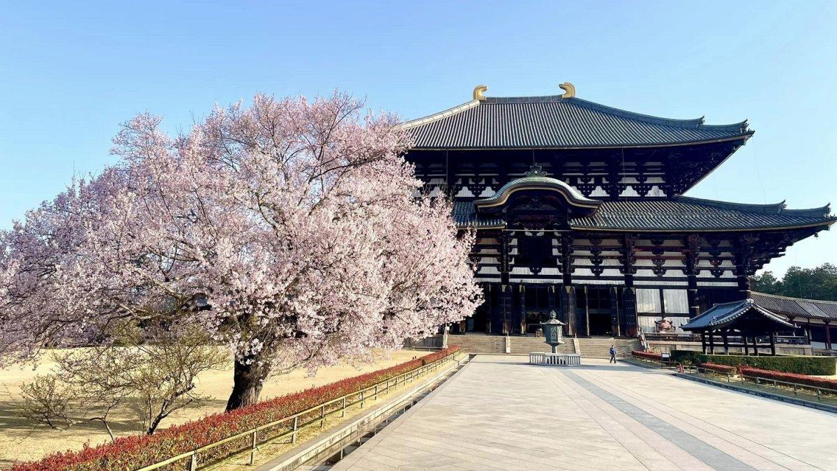 Kuil Todaiji, satu tempat wisata terbaik di Nara Jepang.