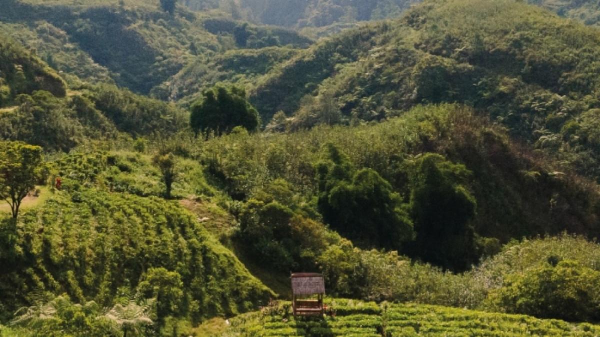 Malino Highland, wisata populer di Malino, Kabupaten Gowa, Sulawesi Selatan.
