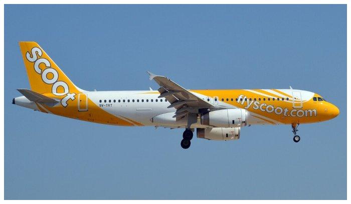 Maskapai Scoot tawarkan rute Jogja-Singapura dengan penerbangan tanpa transit