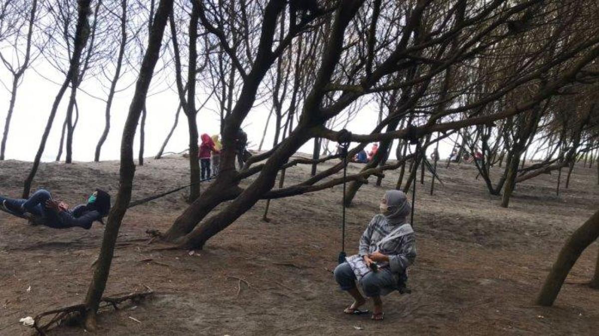 Menikmati suasana Pantai Cemara Sewu di Kabupaten Bantul, Jogja