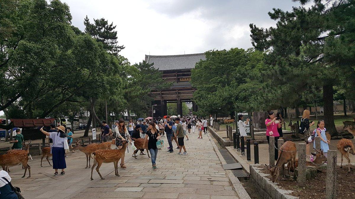Nara Park, satu tempat wisata terbaik di Nara Jepang.