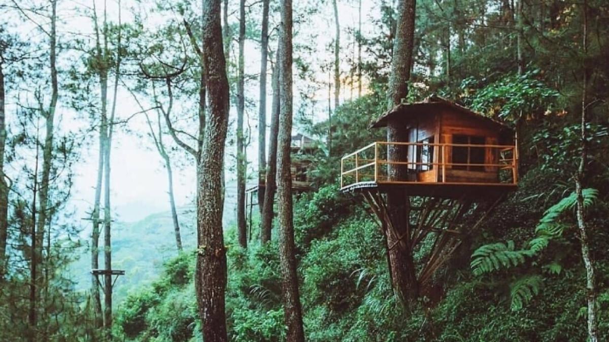 Omah Kayu Gunung Banyak, tempat wisata instagramable di Kota Batu, Jawa Timur.