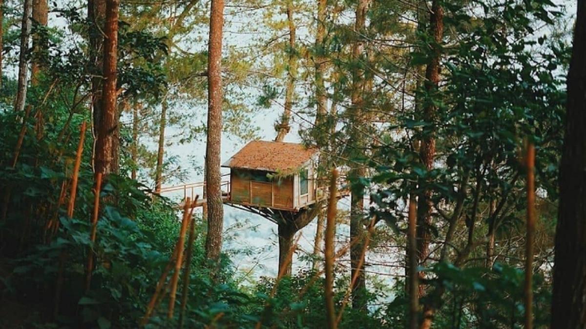 7 Tempat Wisata Instagramable di Batu, Jawa Timur: Brakseng hingga Omah Kayu