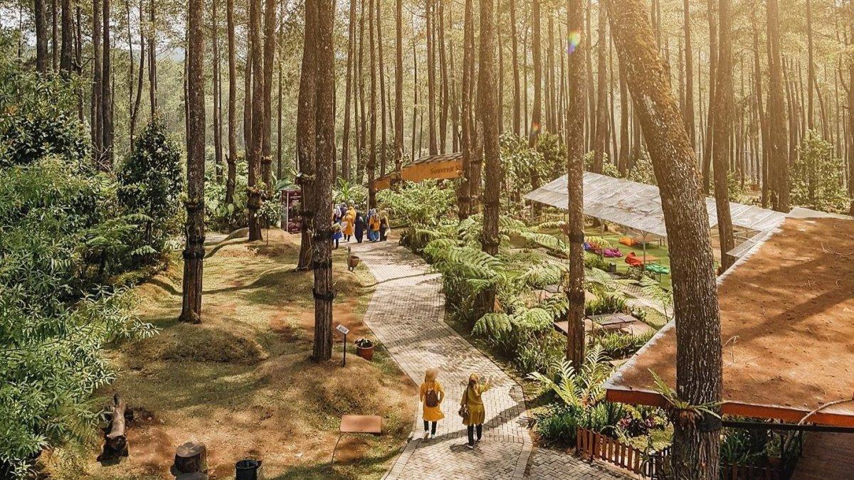 Orchid Forest Cikole, satu tempat wisata hits di Lembang.
