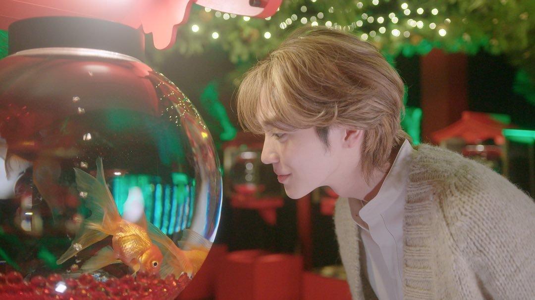 Harga Tiket Masuk Art Aquarium Museum Ginza, Surga Pecinta lkan Mas di Tengah Kota Tokyo Jepang