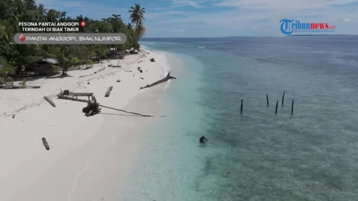 Pantai Anggopi, tempat wisata di Papua yang cocok untuk liburan akhir tahun bersama keluarga.