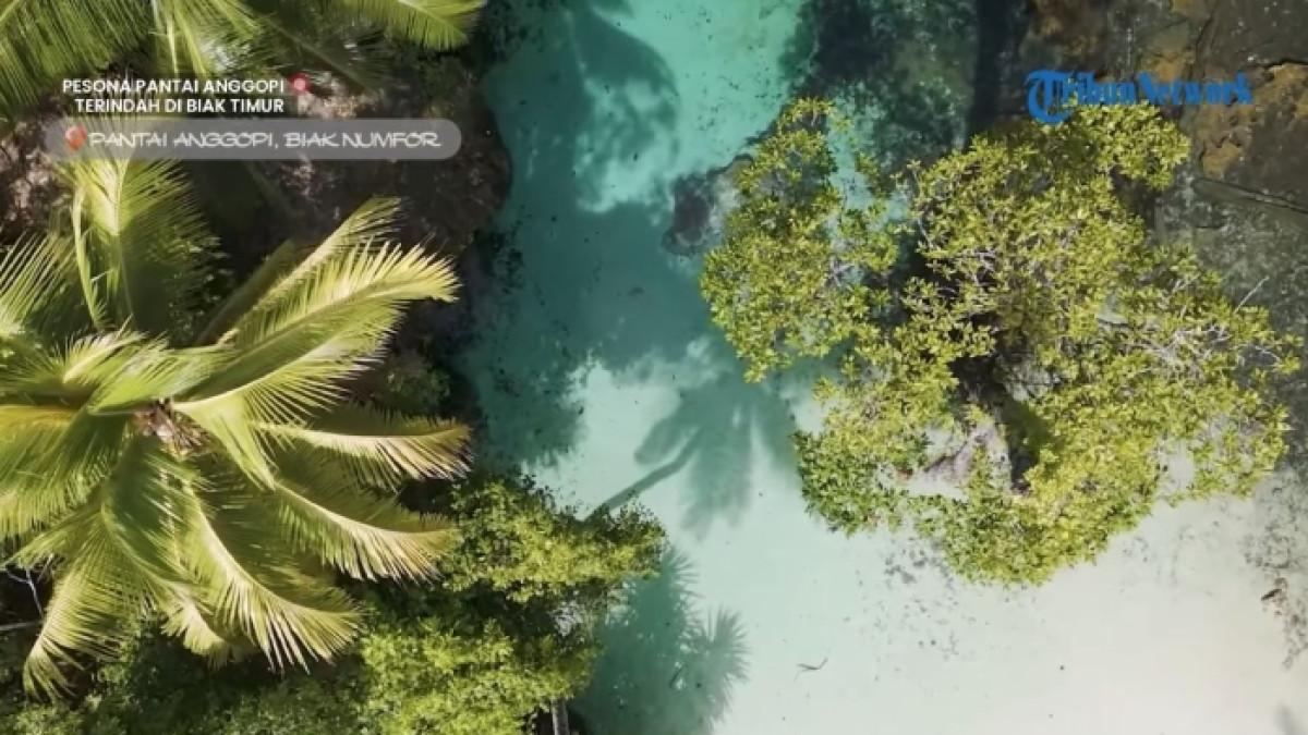 Pantai Anggopi, tempat wisata di Papua yang cocok untuk liburan akhir tahun bersama keluarga.