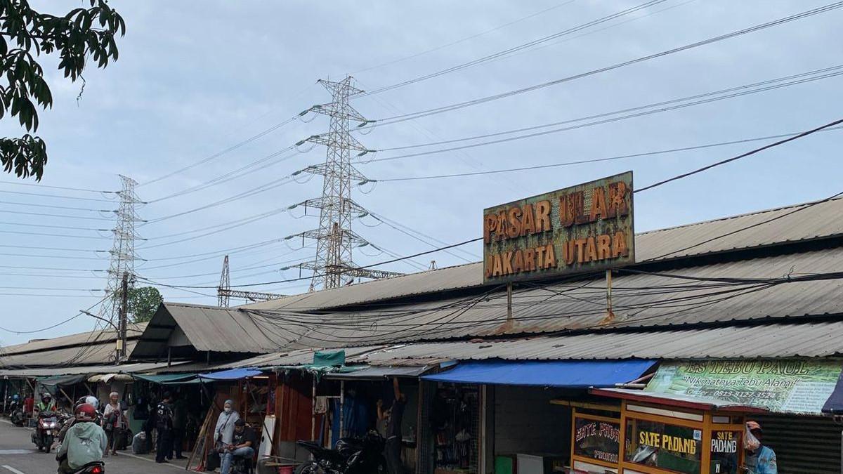 Pasar Ular Plumpang, satu tempat wisata dekat Pelabuhan Tanjung Priok Jakarta Utara.