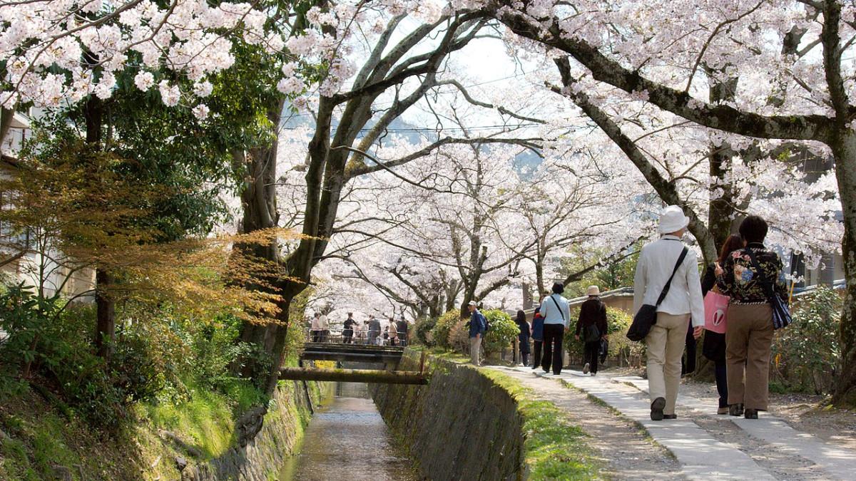 Path of Philosophy, satu tempat wisata gratis di Kyoto, Jepang.