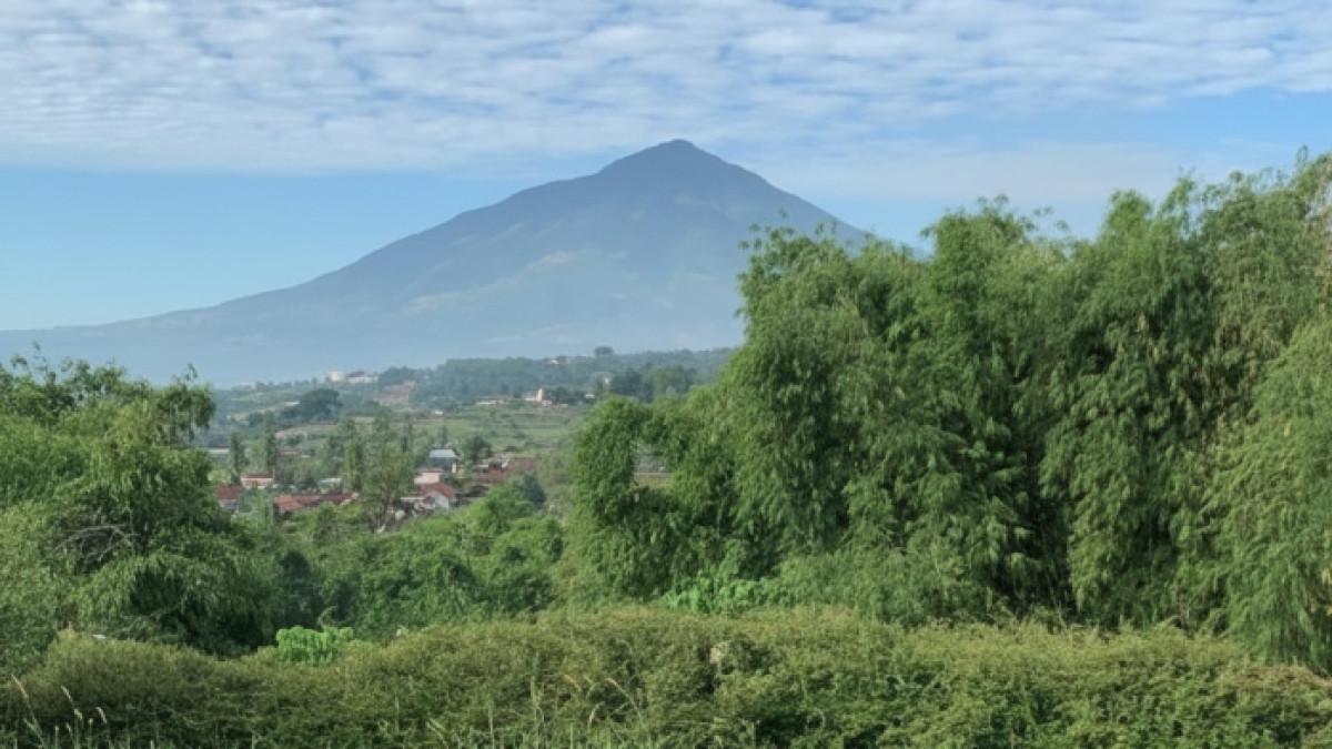 Pemandangan alam yang diambil dari De Wisdom Garut, Jawa Barat untuk healing akhir pekan.
