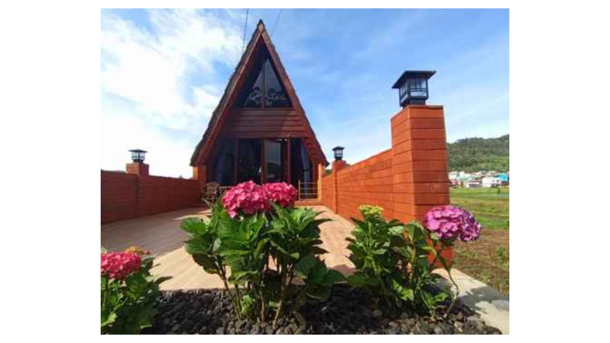 Pemandangan sekitar penginapan The Dieng Cabin.