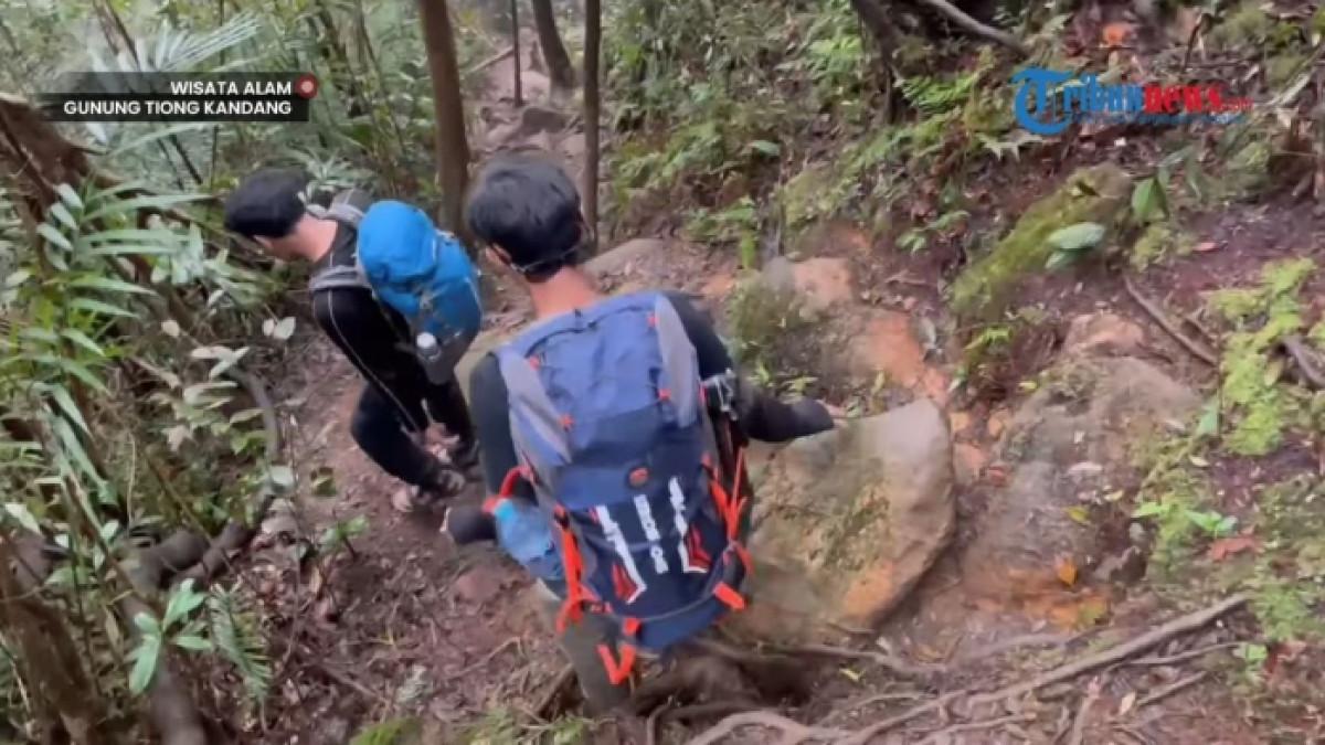 Pendaki tektok di jalur pendakia Gunung Tiong Kandang di Kalimantan Barat.