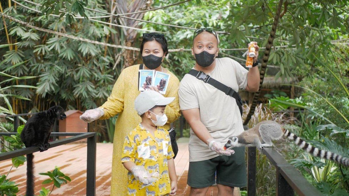 Pengunjung Batu Secret Zoo tengah memberi makan satwa.