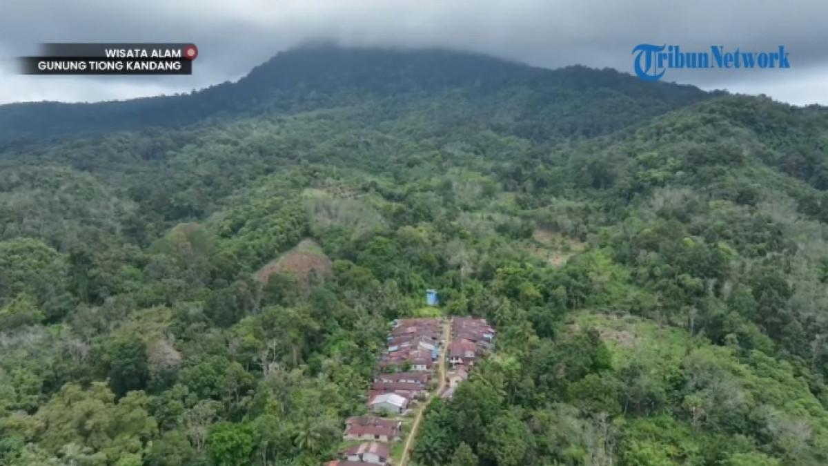 Pesona Gunung Tiong Kandang di Kalimantan Barat yang cocok untuk tektok sehari.