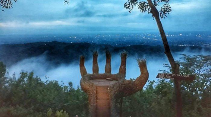 Pesona Hutan Pinus Pengger, tempat wisata alam di Bantul, Jogja yang instagramable.