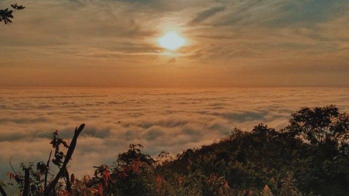 Pesona negeri di atas awan Bukit Gatan Musi Rawas, Sumatera Selatan yang menakjubkan.