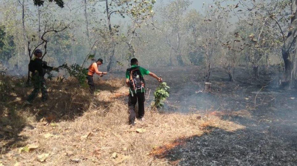 Taman Nasional Baluran Ditutup Akibat Kebakaran, Titik Api Tak Jauh dari Lokasi Wisata