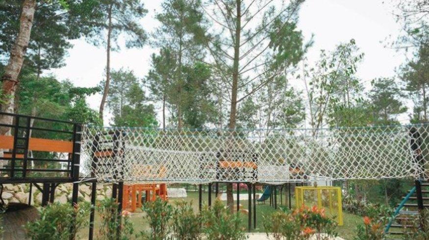 Pinea Forest Mangli.