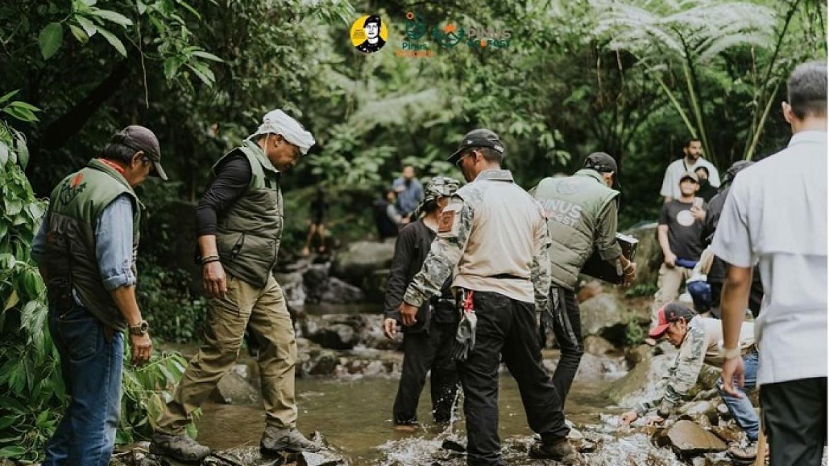 Pinus Eco Park Camping Ground