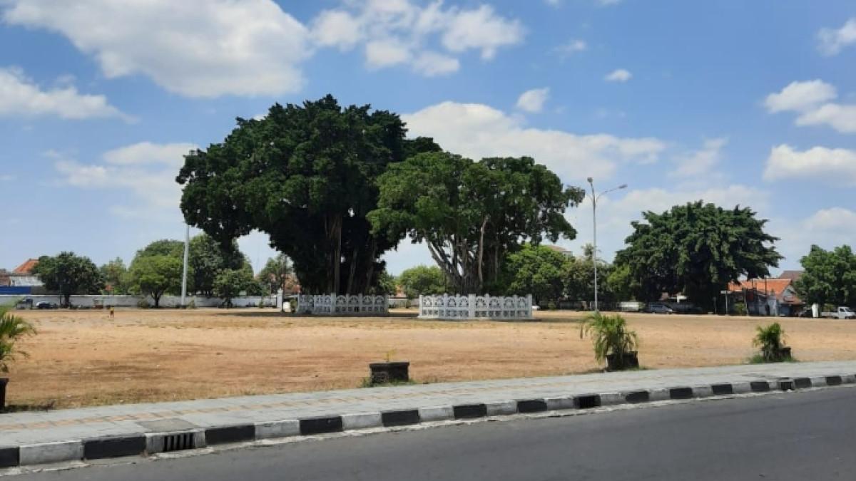 Pohon beringin kembar di tengah area Alun-alun Kidul Jogja yang lokasinya tak jauh dari Keraton Yogyakarta, Kamis (27/8/2020).