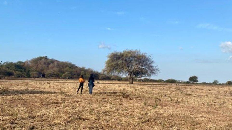 5 Tempat Wisata yang Lagi Hits di Situbondo, Jangan Lupa Kunjungi Taman Nasional Baluran
