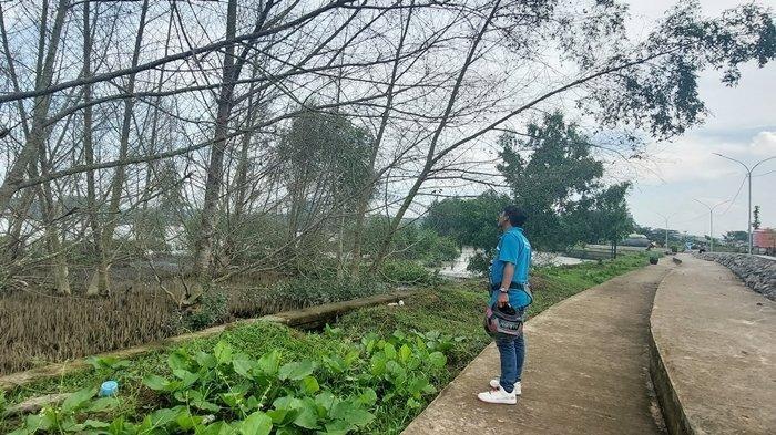 Serangan Ulat Bulu di Taman Bebaya Bikin Pengunjung Gatal-gatal, Tempat Wisata Tutup Sementara