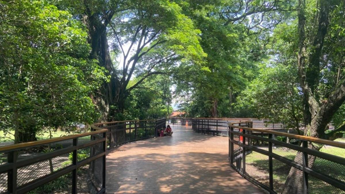 Sky Walk Balekambang salah satu spot foto instagramable