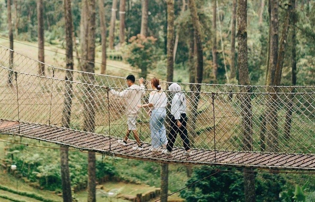 Spot Wood Bridge di Orchid Forest Cikole Lembang.